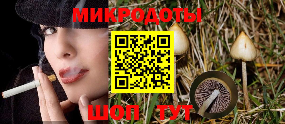 Галлюциногенные грибы Psilocybine cubensis Отрадное